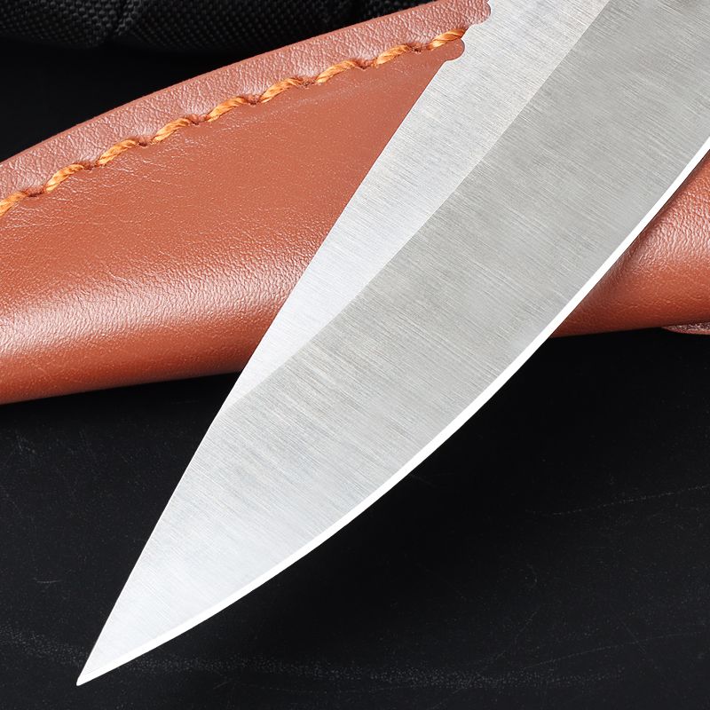 Freewolf Colorful G10 Handle Full Tang Pointed Fixed Blade Straight Knife UD408799